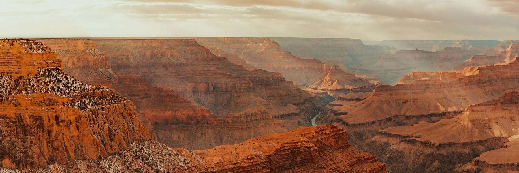 The Nature Conservancy