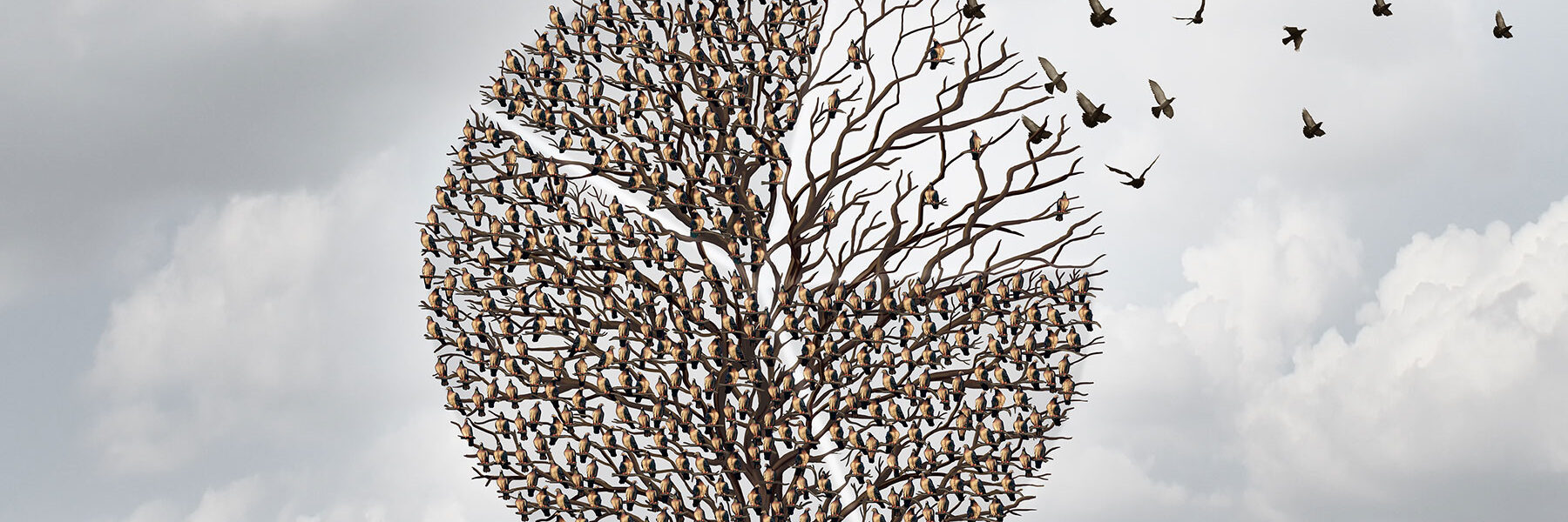 Birds of a Feather–Taking Flight with Natural Partnerships in Data Governance
