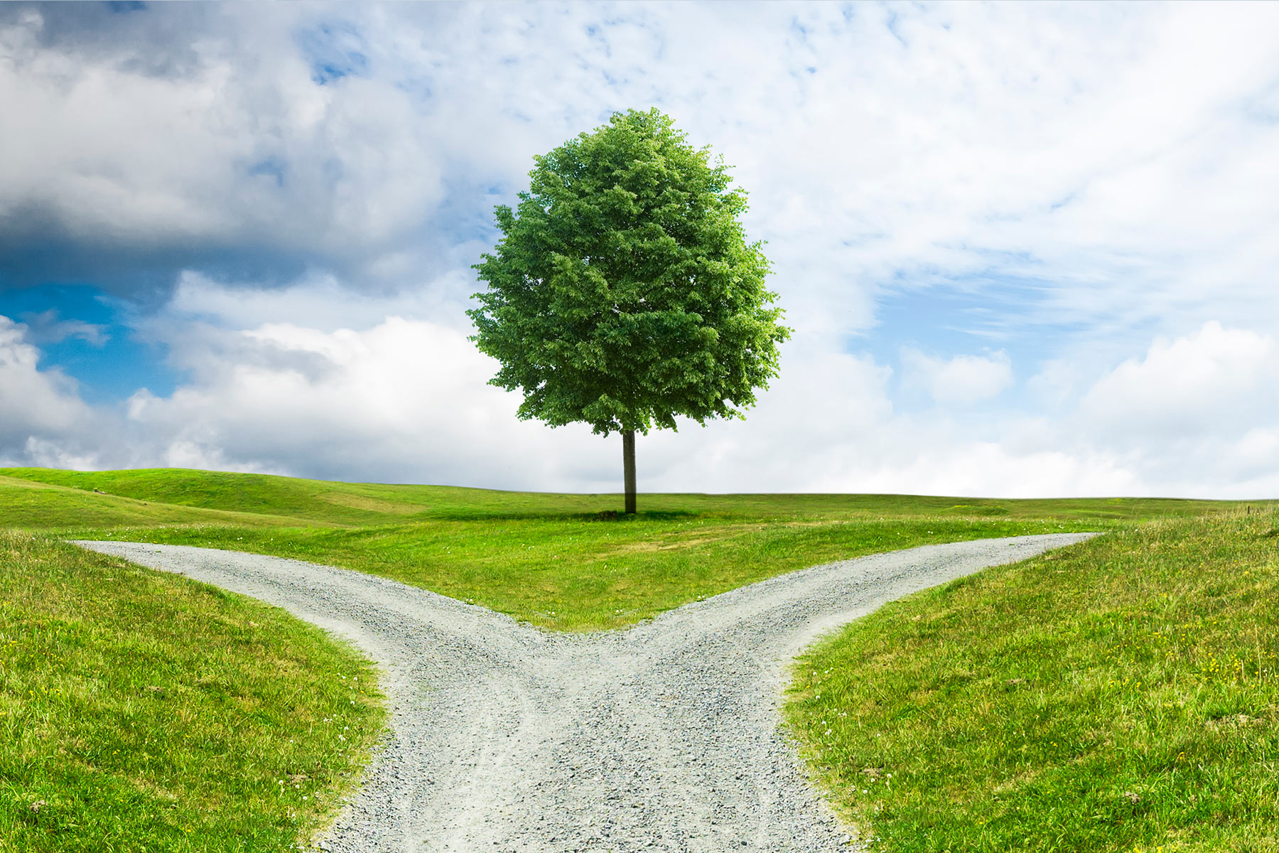Philanthropy as a Strategic Revenue Stream: A Path to Financial Resilience in Uncertain Times