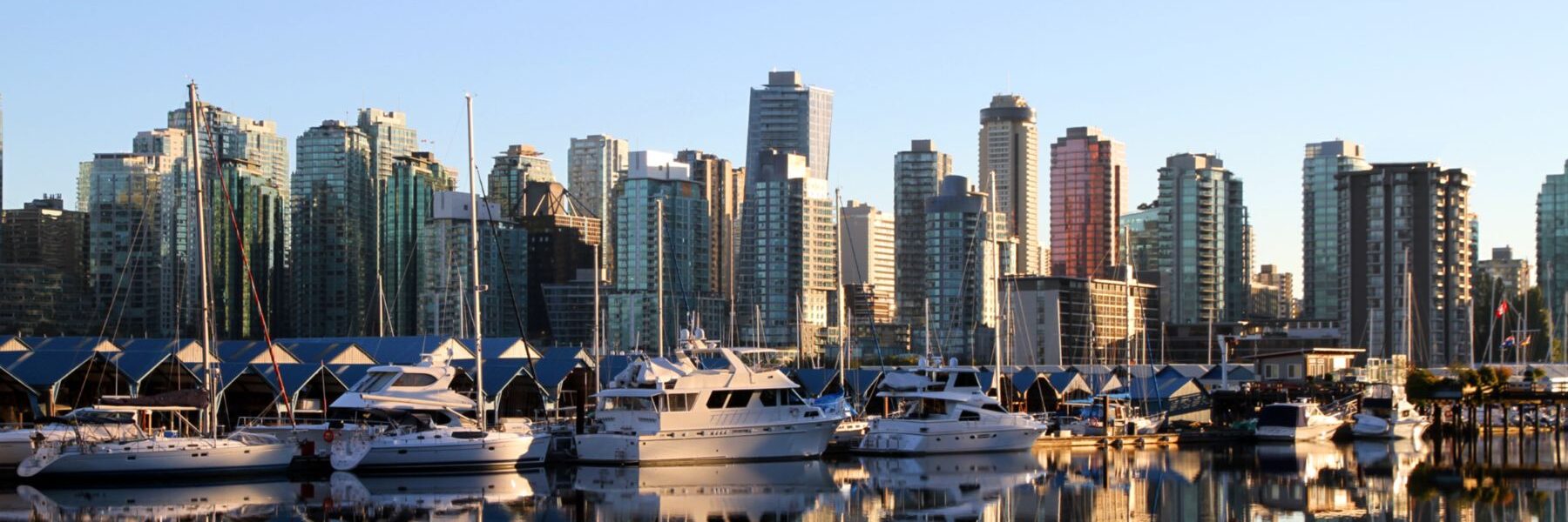 Turning Wealth Insights into Fundraising Strategy: What the 2025 World Ultra Wealth Report Means for You