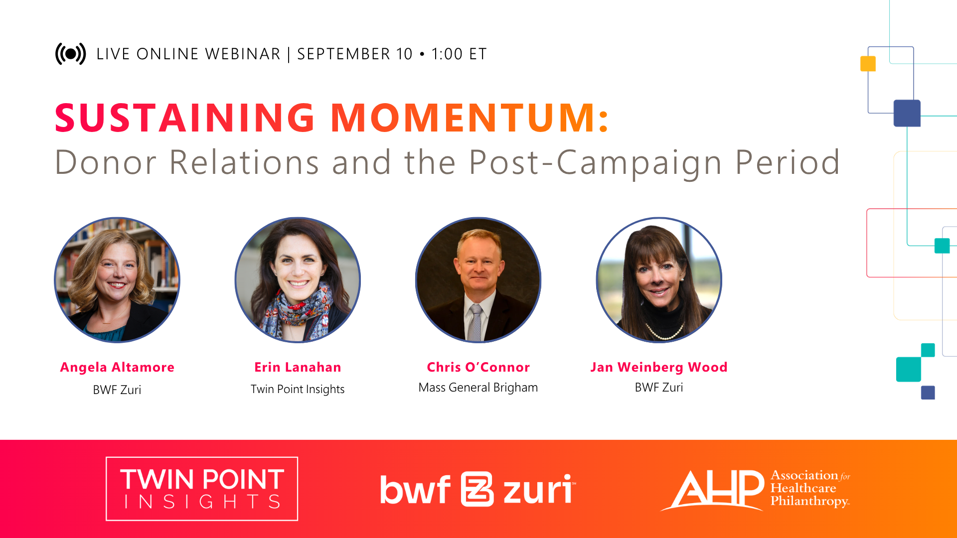 Sustaining Momentum: Donor Relations and the Post-Campaign Period
